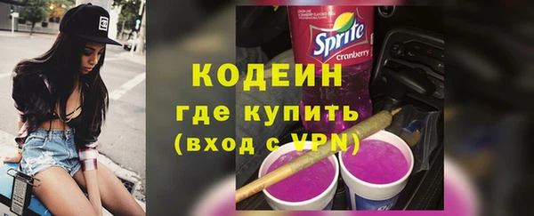 мет Няндома