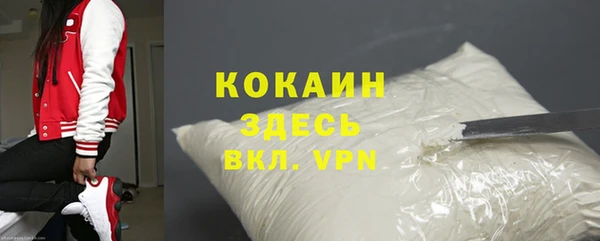 мет Няндома