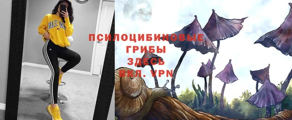 прущая мука Новодвинск