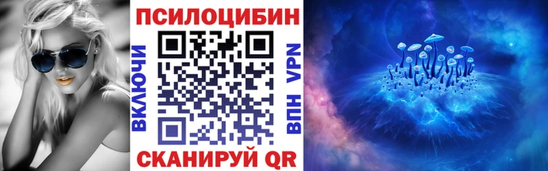 Купить закладки  Каменногорск  Галлюциногенные грибы ЛСД 