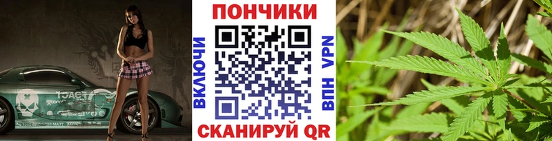 Конопля гибрид  Купить где  Каменногорск 